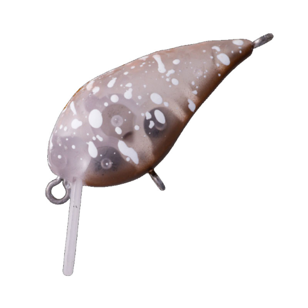 ＭＩＮＩ　ＫＵＲＡ　Ｆ(＃１１　キングＫ)